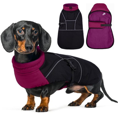 Lelepet dachshund coat - dachshund,