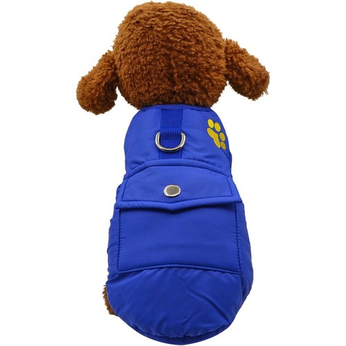 Dog thick warm - thick, winter