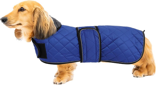 Dachshund coats waterproof - dachshund,