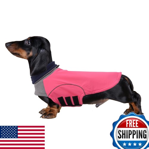 Brabtod dog winter - coat, for
