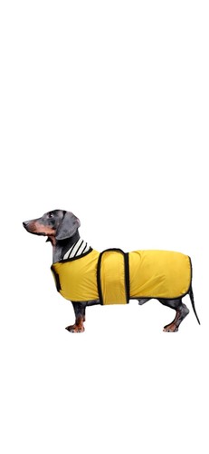 Dog raincoat dachshund corgi - dog,