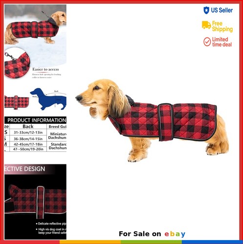 Waterproof dog coat - dog,