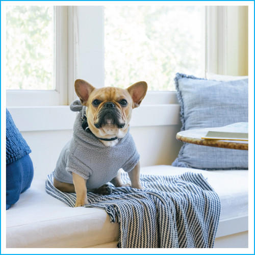 Gap pet gray sherpa bear - sherpa,