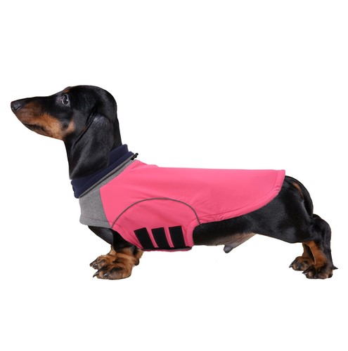 Brabtod dog winter coat for - winter,