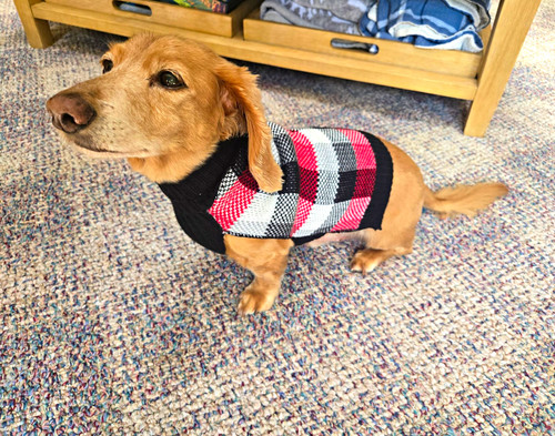 Plaid knit dog sweater warm - sweater,