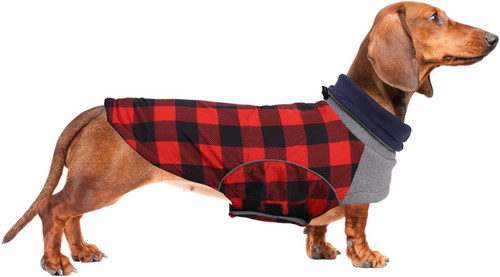 Dog winter coat - winter, coat,dachshund