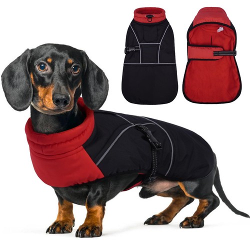 Dachshund coat waterproof - dachshund,