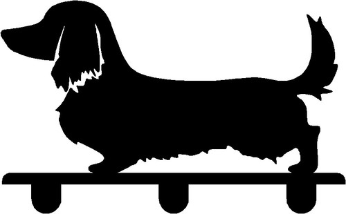 Long haired dachshund - dachshund, dog