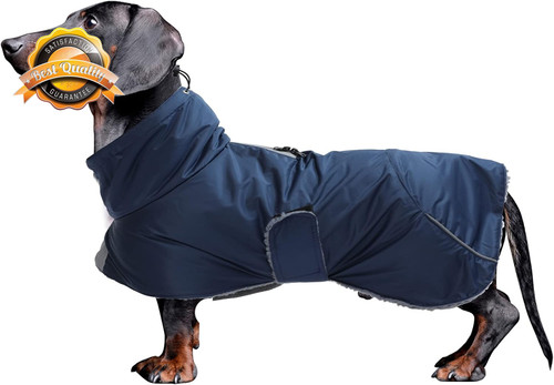 Dachshund coats waterproof - dachshund,