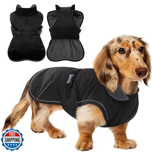 Mini dachshund coat with warm - dachshund,