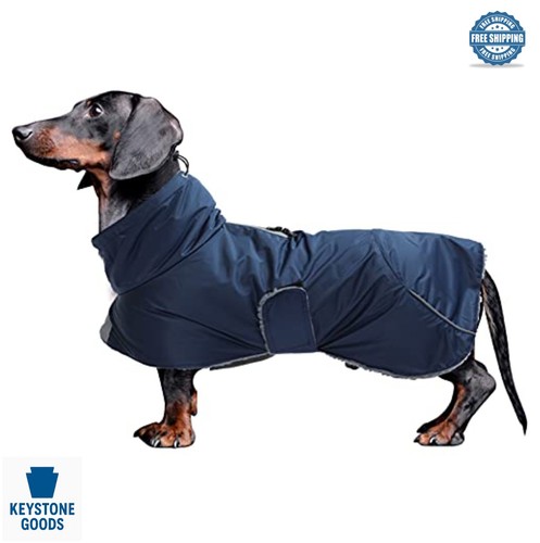 Waterproof dachshund coat - dachshund,