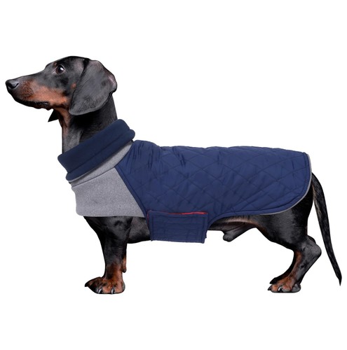 Geyecete dachshund winter - geyecete,