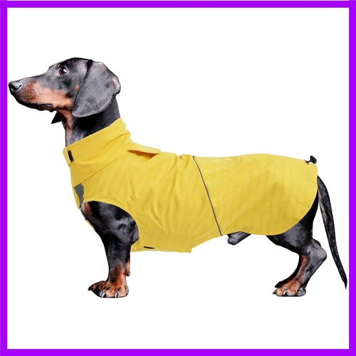 Dachshund raincoat waterproof - dachshund,