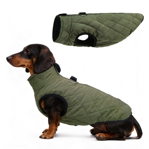 Scenereal dachshund winter - scenereal,