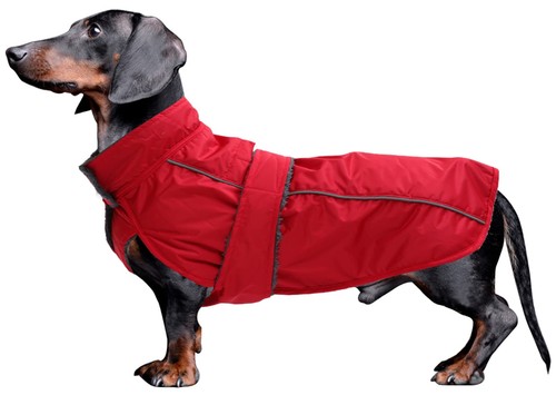 Dachshund coat waterproof - coat,