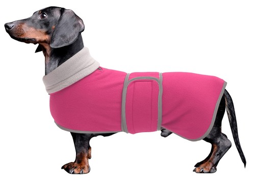 Dachshund coats sausage - sausage, dog