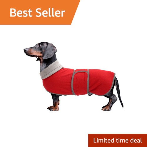 Morezi red medium dachshund - red,