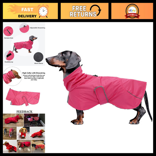 Waterproof dachshund winter - waterproof,