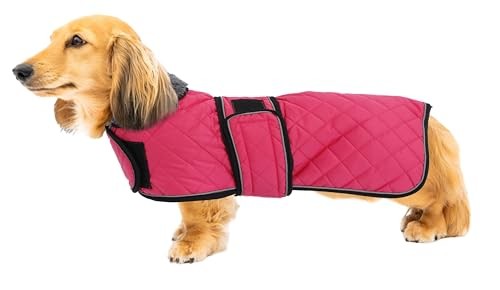 Warm thermal quilted dachshund - warm,
