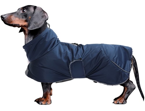 Dachshund coats waterproof - coats,