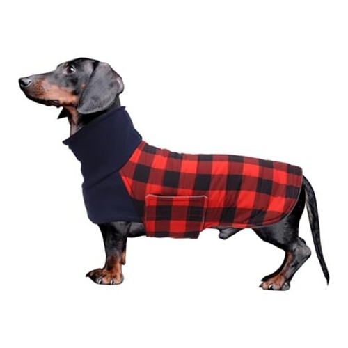 Warm thermal quilted dachshund - warm,