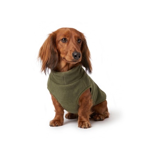 Dachshund fleece coat - coat,, long