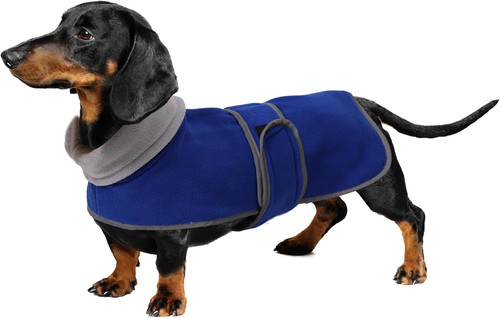 Dachshund sweaters dog - -,