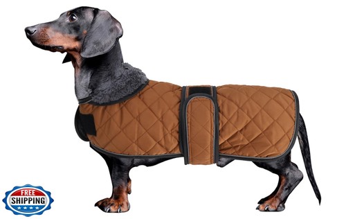 Dachshund coat dog coats for - coat,