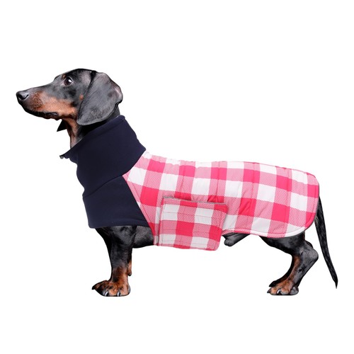 Geyecete dachshund coat jacket - geyecete,