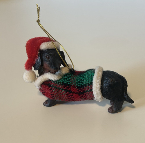 Dachshund black and tan - dachshund,