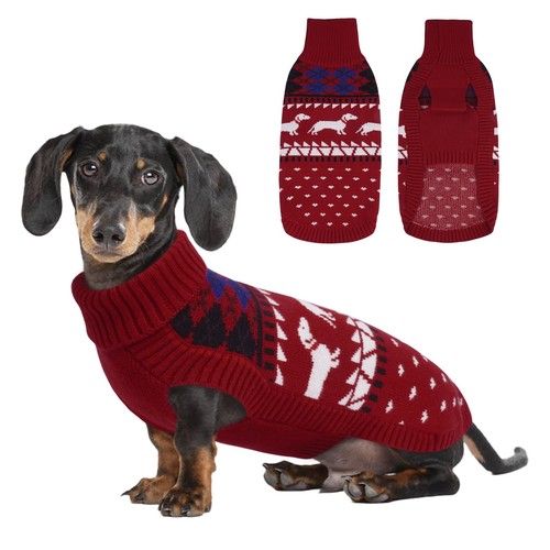 Dachshund dog sweater - dog,