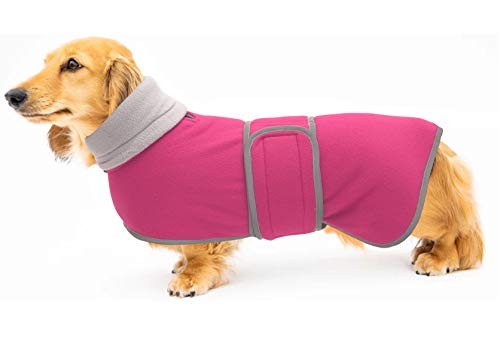 Dog jacket - dog,