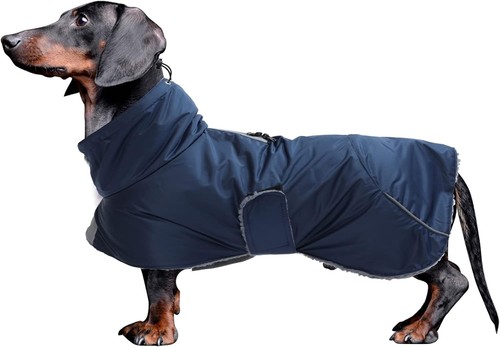 Dachshund coats waterproof - dachshund,