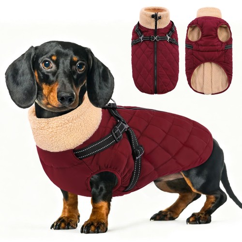 Queenmore dog coat - coat, for
