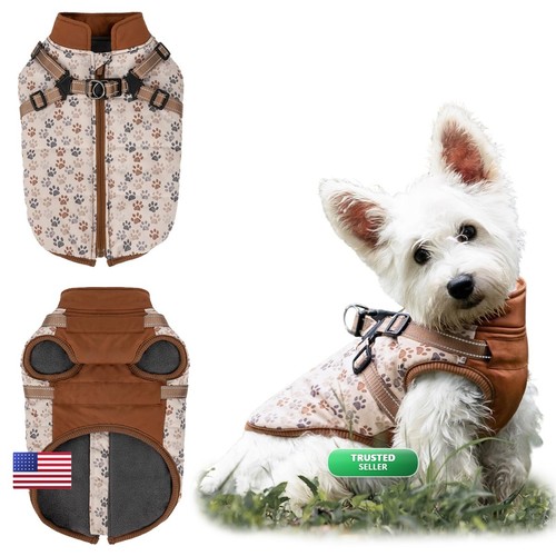 Coohams dog winter - coohams, paw