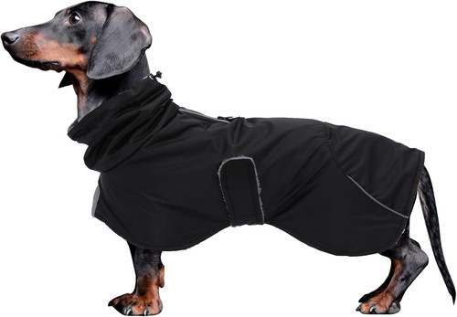 Dachshund coats waterproof - coats,