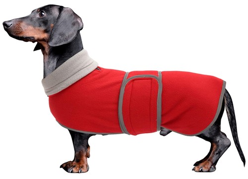 Dachshund coats sausage - dachshund, dog