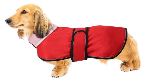 Dachshund raincoat weiner dog - raincoat,