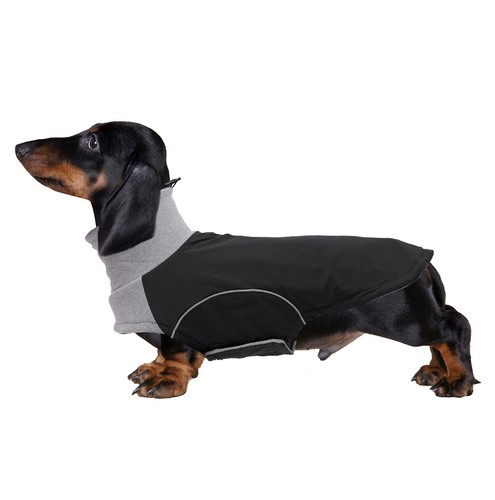 Brabtod dog winter - winter, for