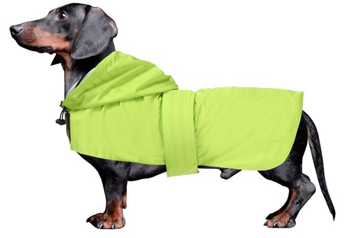 Dachshund raincoat clothes - raincoat,