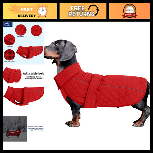 Winter coat for dachshund - dachshund, &
