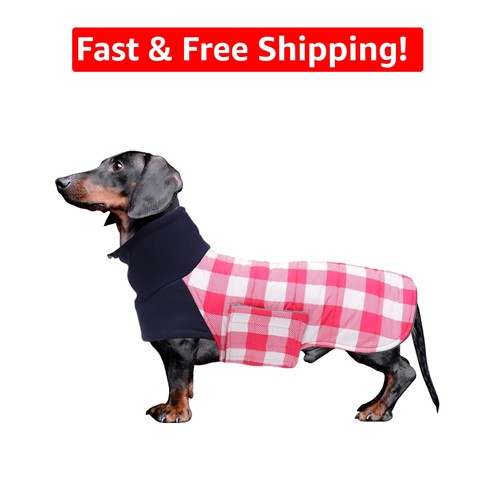 Windproof dachshund coat with - dachshund,