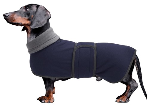 Dachshund coats sausage dog - dachshund,