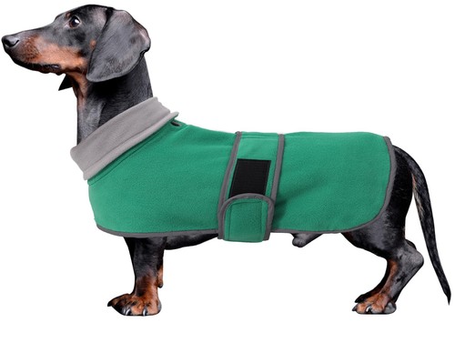 Dachshund coats sausage dog - coats,
