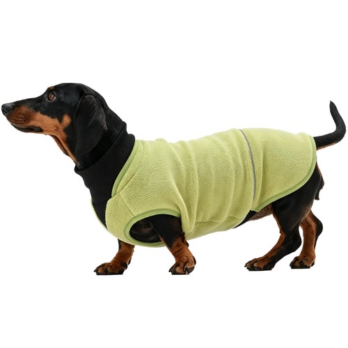 Dachshund dog fleece sweater - dog,