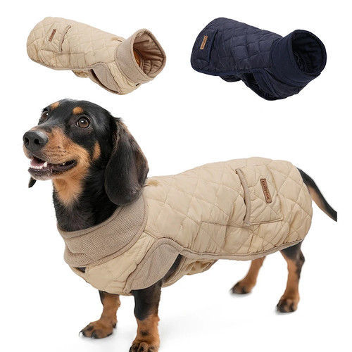 Winter dog coat for dachshund - winter,