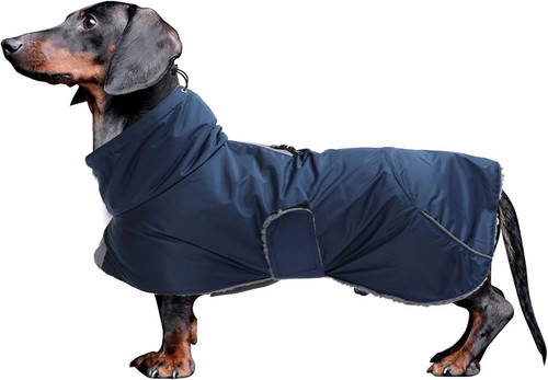 Dachshund coats waterproof - dachshund,