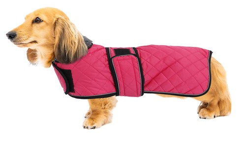 Warm thermal quilted dachshund - warm,