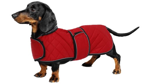 Warm thermal quilted - thermal, dachshund