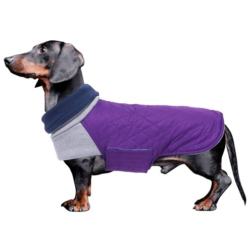 Geyecete dachshund winter - geyecete, coat